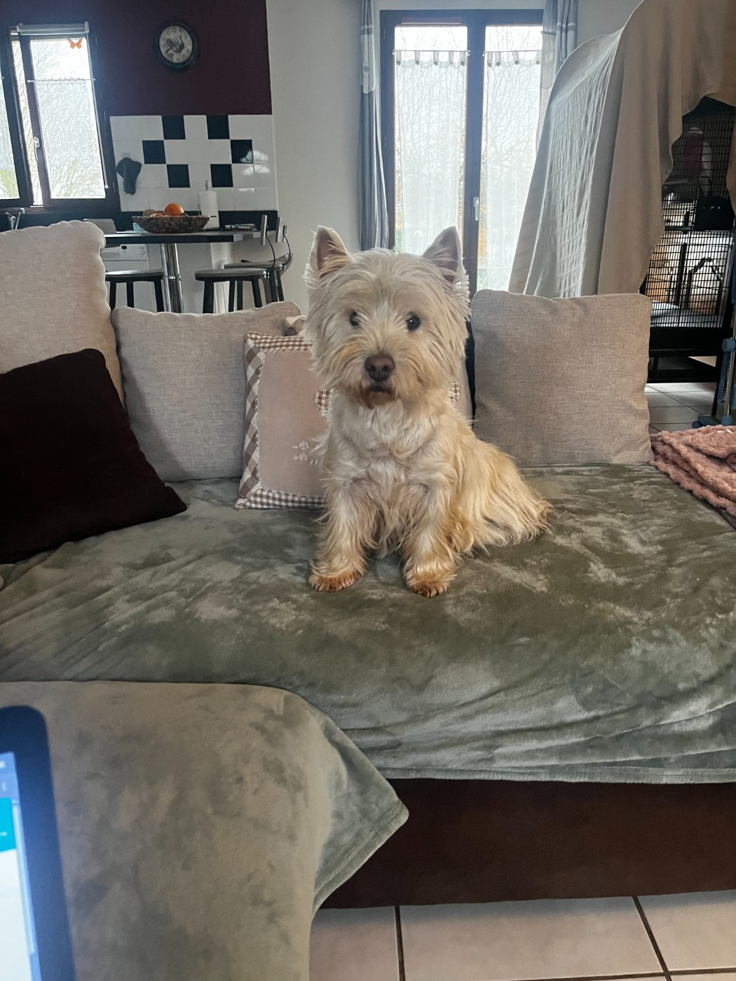 Urley Du domaine de forest hill